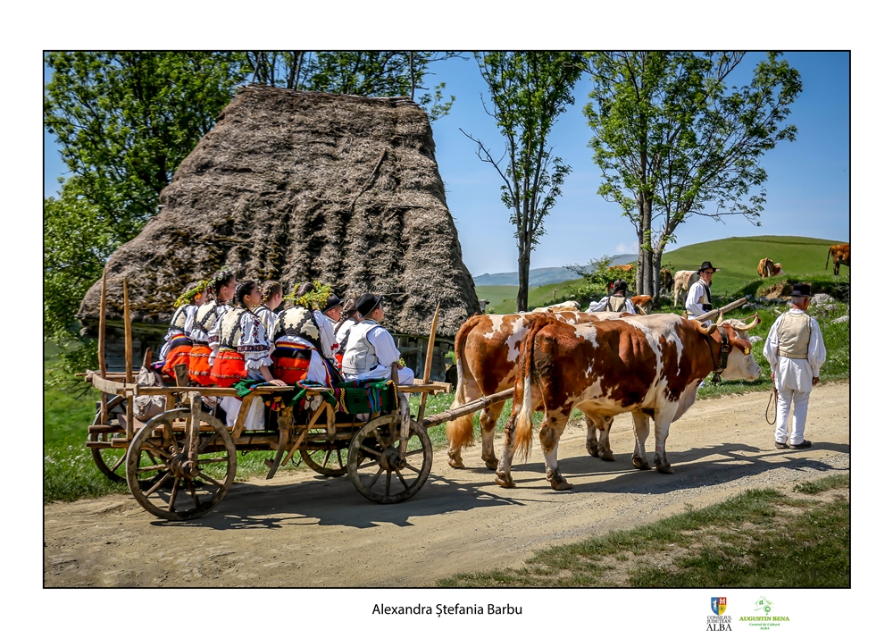 Targul de fete de muntele Găina 2020