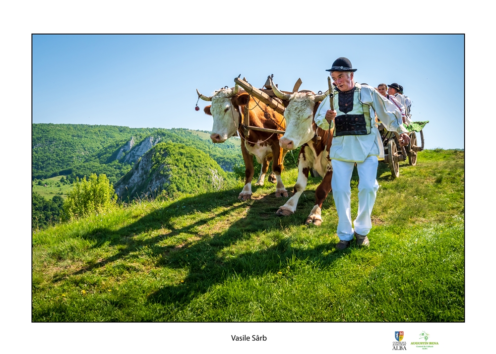 Targul de fete de muntele Găina 2020