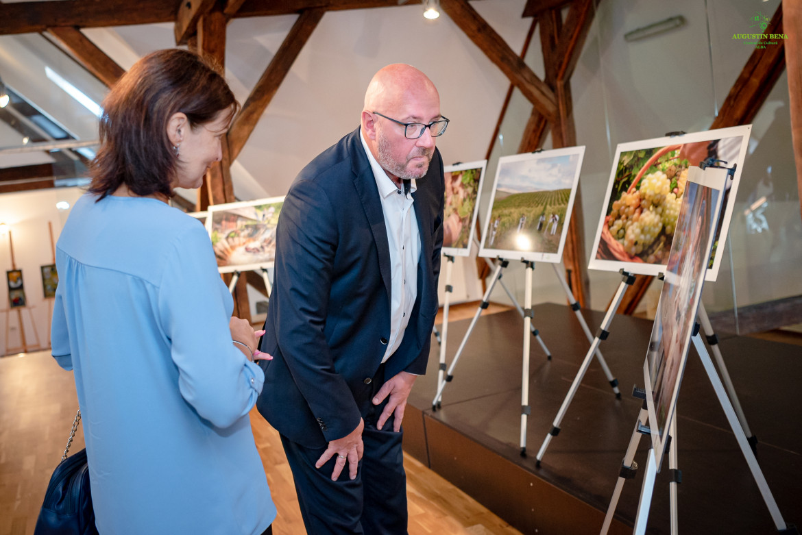 Colaborare culturală între județul Alba și Districtul Prignitz din Germania
