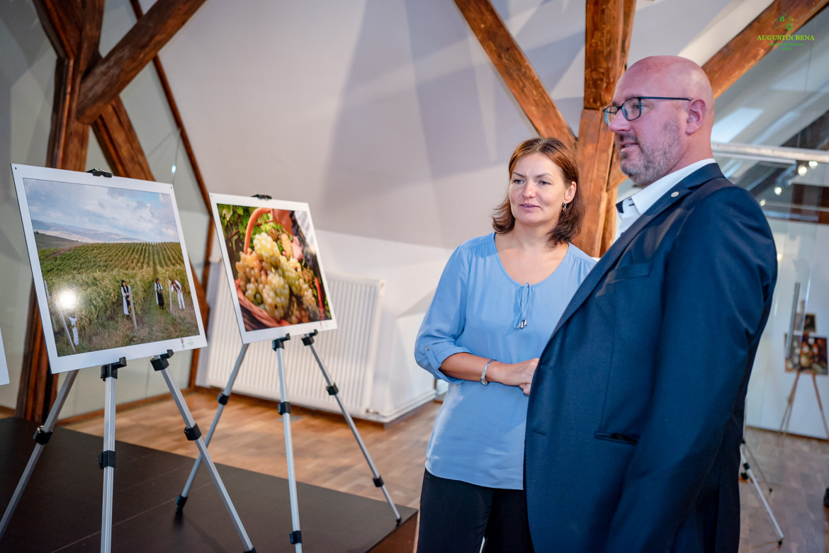 Colaborare culturală între județul Alba și Districtul Prignitz din Germania