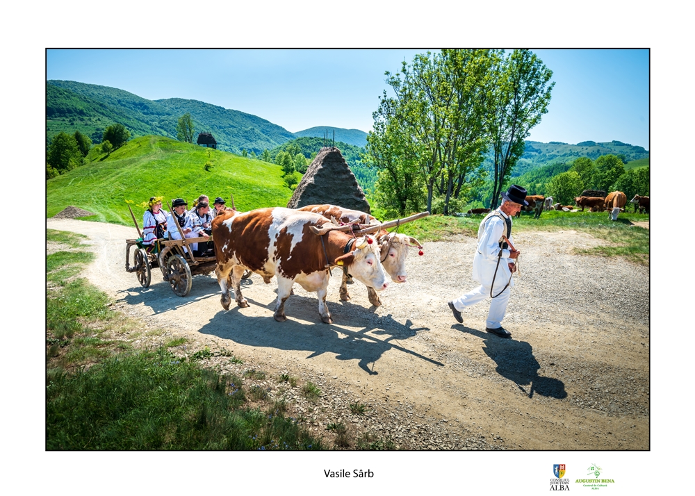 Targul de fete de muntele Găina 2020
